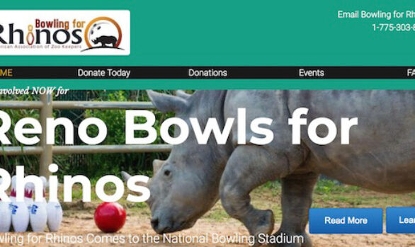 Reno Bowls for Rhinos, 2017