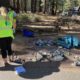 Tahoe Forest Stewardship Day